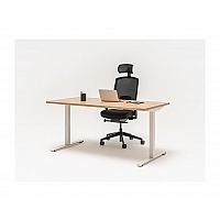 OGI desk collection